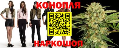 сатива Ирбит