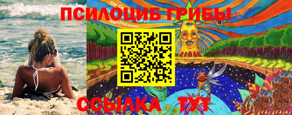 Псилоцибиновые грибы Cubensis Ленинск-Кузнецкий
