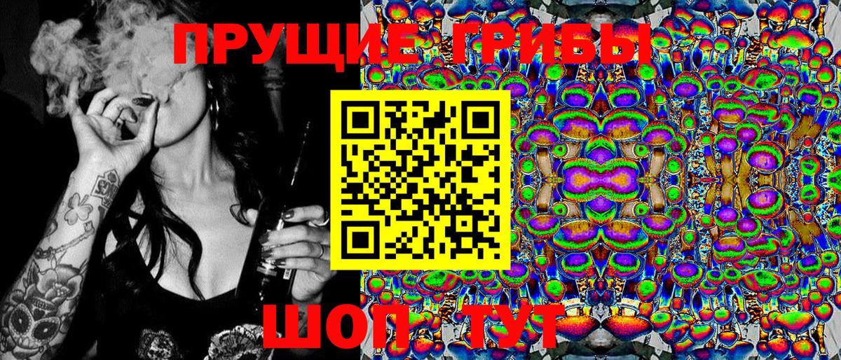 Ленинск-Кузнецкий  Галлюциногенные грибы Cubensis  Вход с VPN 
